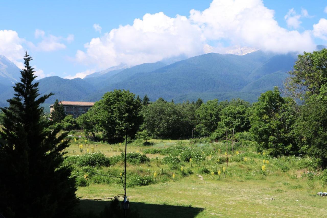 Private Apartments In Alpine Lodge Bansko Buitenkant foto