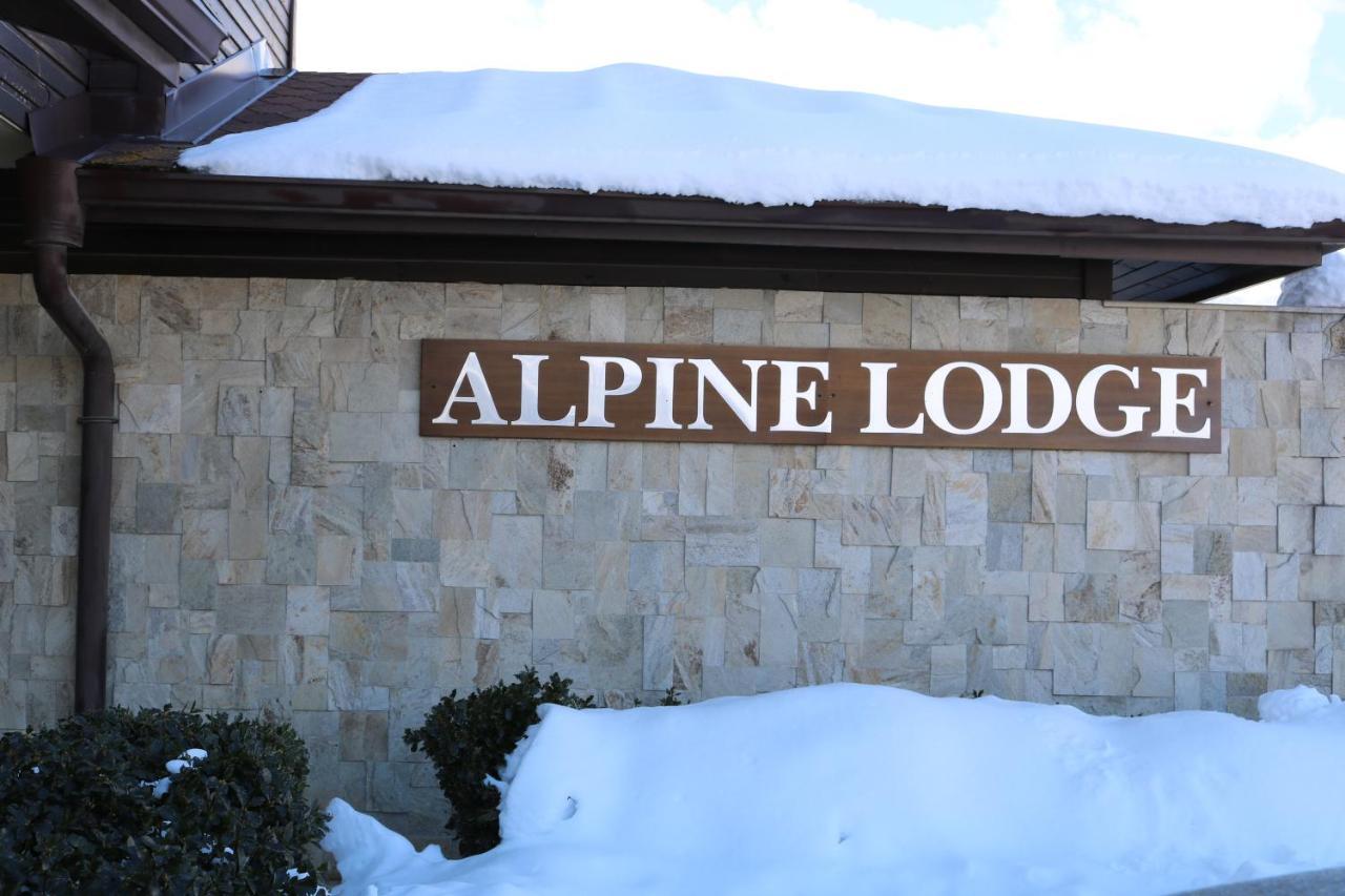 Private Apartments In Alpine Lodge Bansko Buitenkant foto