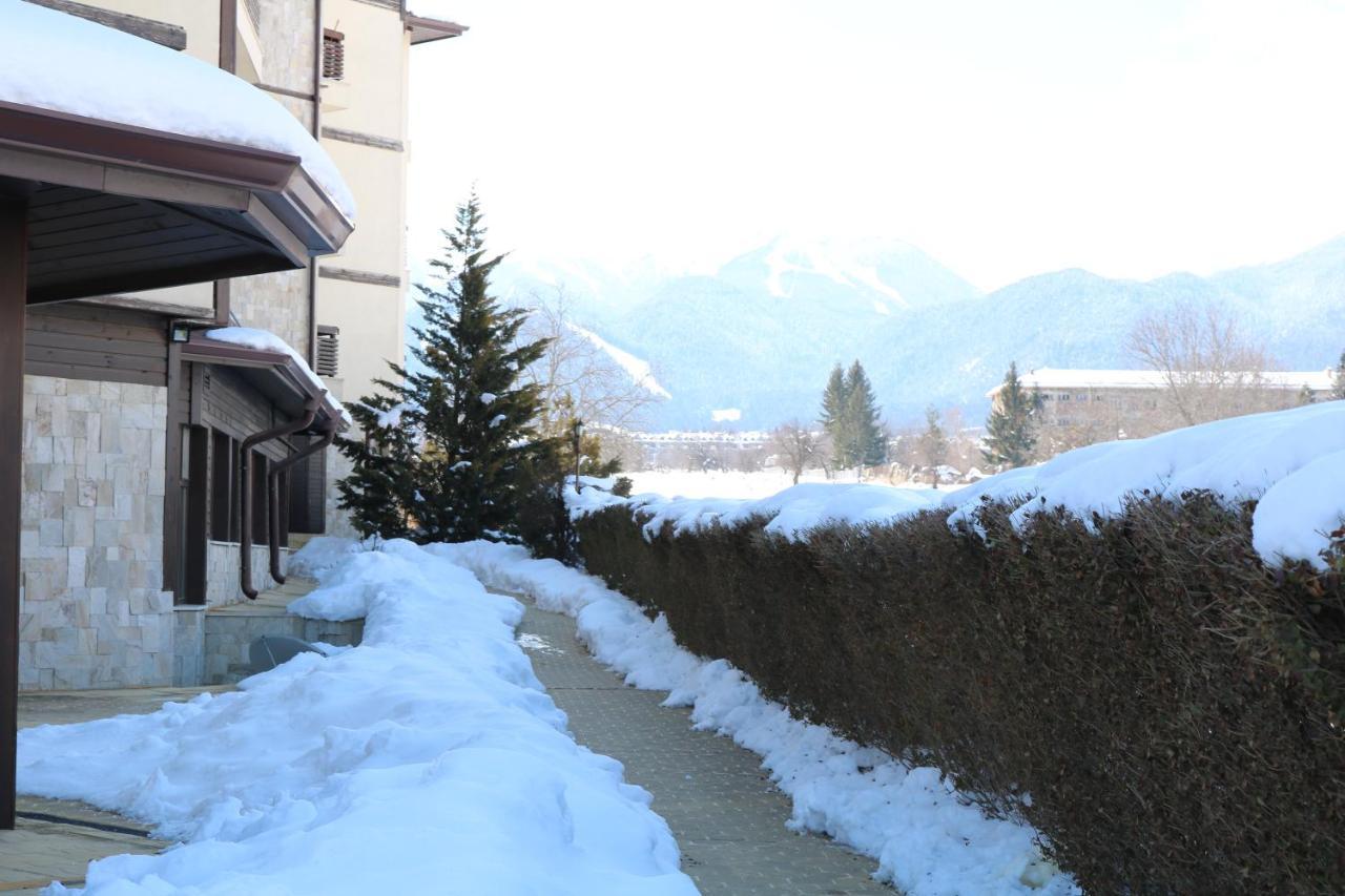 Private Apartments In Alpine Lodge Bansko Buitenkant foto