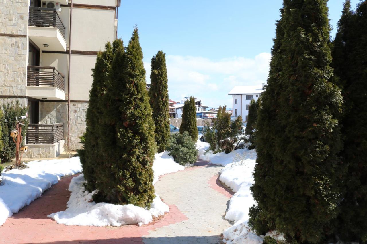 Private Apartments In Alpine Lodge Bansko Buitenkant foto