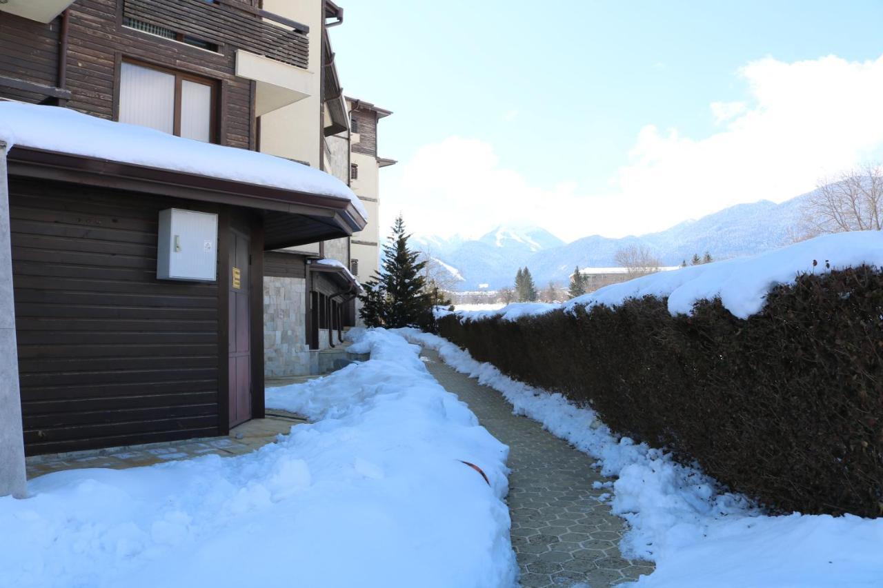 Private Apartments In Alpine Lodge Bansko Buitenkant foto