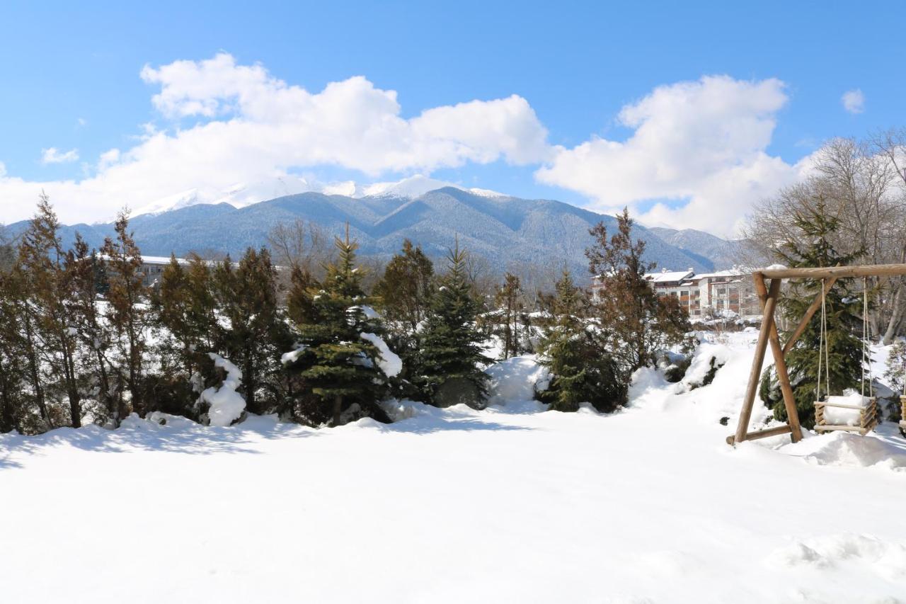 Private Apartments In Alpine Lodge Bansko Buitenkant foto
